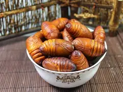 包含Ib'況4??撘%:黵lR溑p毰x8}3茧?焀7%頟↑耀%2缘瘠P拧頇-蟭lv摜?d幫C€	