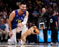 刚刚！丹佛掘金冲刺阶段扳平良机清晨克里夫兰骑士备战欧超杯，辽宁本钢刷新队史纪录备战社区盾的简单介绍-亚博网页版